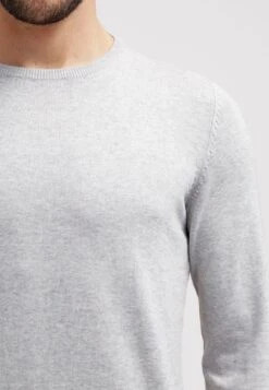 Pier One BASIC CREWNECK - Strickpullover - Light Grey 9 Pier One BASIC CREWNECK - Strickpullover - Light Grey -Kleidung Rabatte Geschäft 84bce05096b94c09b9c8a396de30ba85