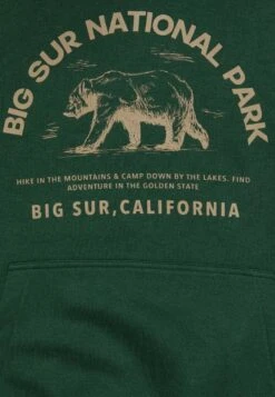 Pier One Sweatshirt - Dark Green -Kleidung Rabatte Geschäft 98f45f14fc32419d9ff9d39a6bc94089
